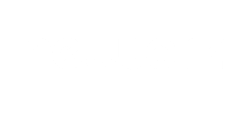 Wansbeck District Scout Network Logo